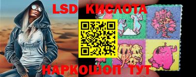 индика Боровичи