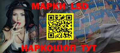 индика Боровичи