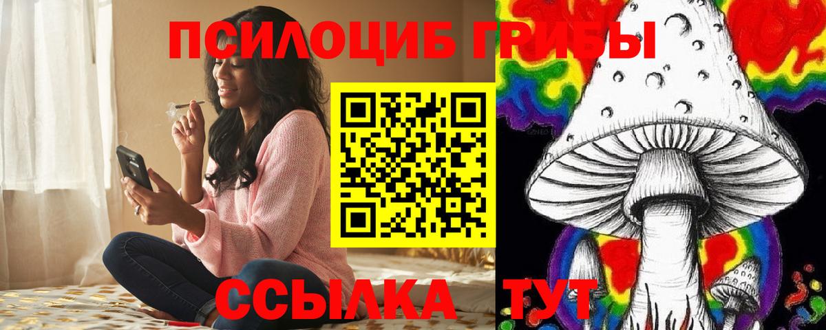 Галлюциногенные грибы Psilocybine cubensis  Галлюциногенные грибы прущие грибы  Липецк 
